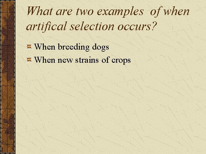 What are two examples of when artifical selection occurs? When breeding dogs When new