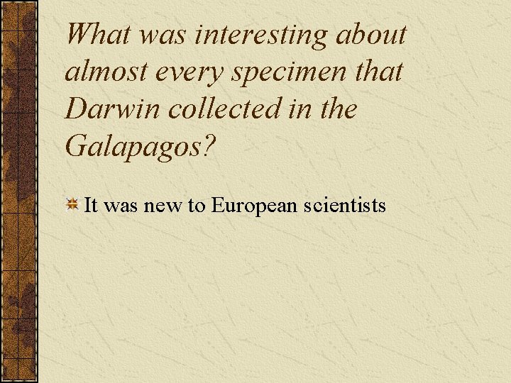 What was interesting about almost every specimen that Darwin collected in the Galapagos? It