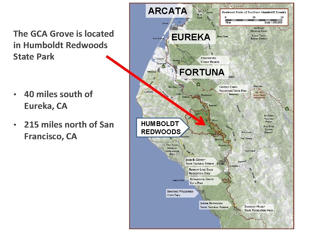 ARCATA The GCA Grove is located in Humboldt Redwoods State Park EUREKA FORTUNA •