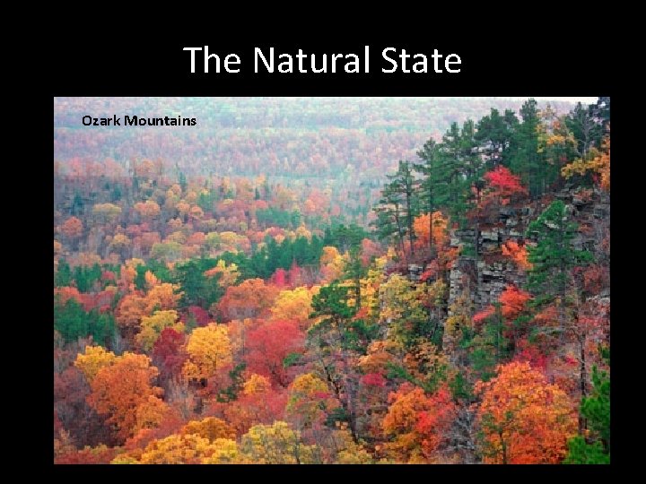 The Natural State Ozark Mountains 