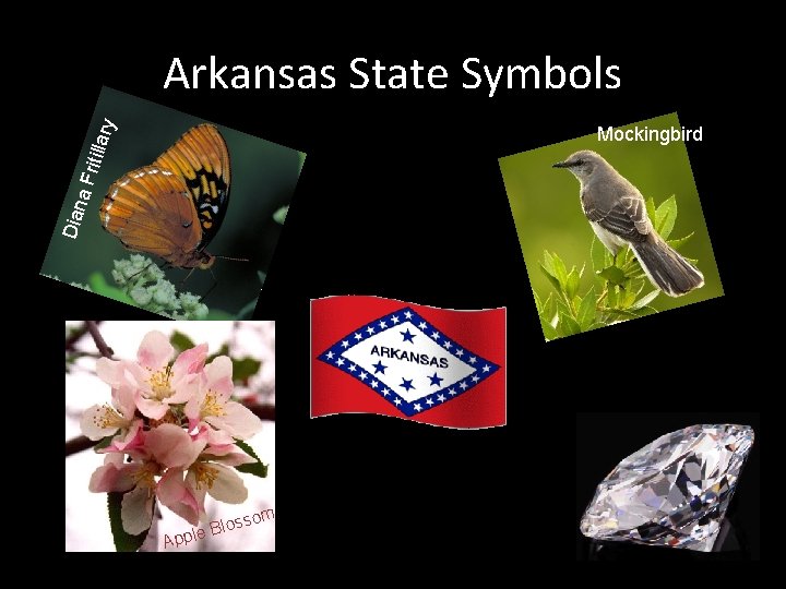 a Fr itilla ry Arkansas State Symbols Dian Mockingbird som Blos e l p