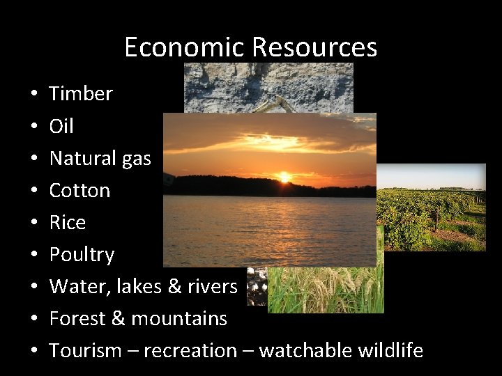 Economic Resources • • • Timber Oil Natural gas Cotton Rice Poultry Water, lakes