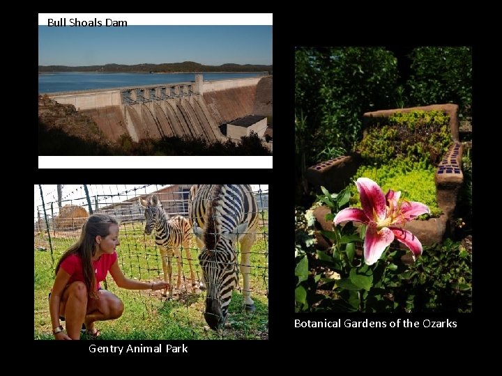 Bull Shoals Dam Botanical Gardens of the Ozarks Gentry Animal Park 