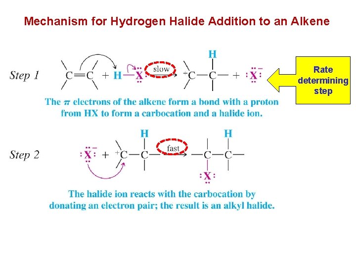 Mechanism for Hydrogen Halide Addition to an Alkene Rate determining step 