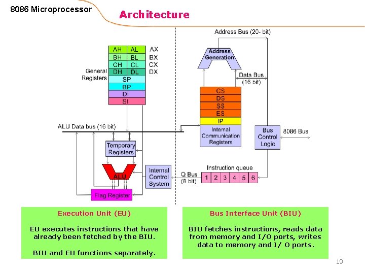 8086 Microprocessor Architecture Execution Unit (EU) Bus Interface Unit (BIU) EU executes instructions that