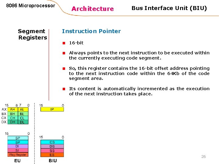 8086 Microprocessor Segment Registers Architecture Bus Interface Unit (BIU) Instruction Pointer 16 -bit Always