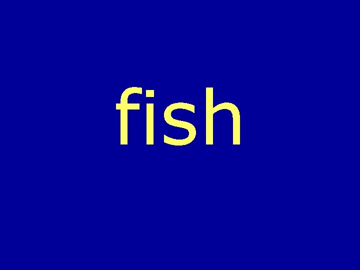 fish 