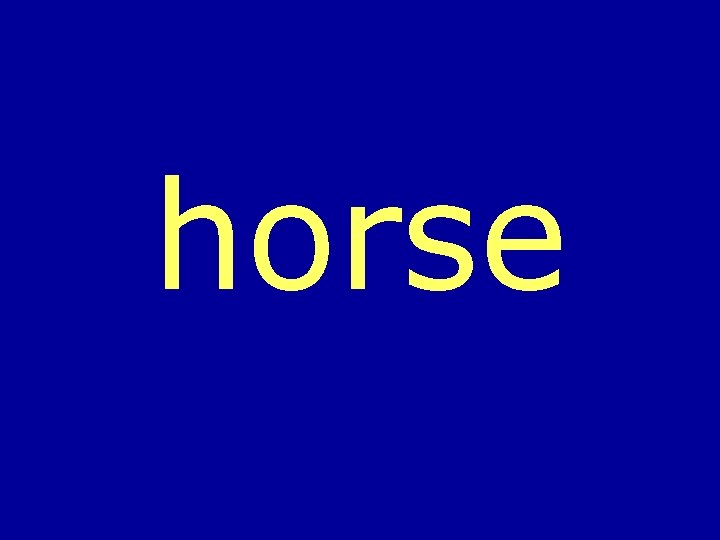 horse 