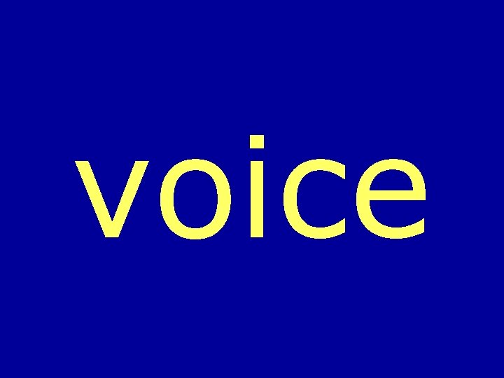 voice 