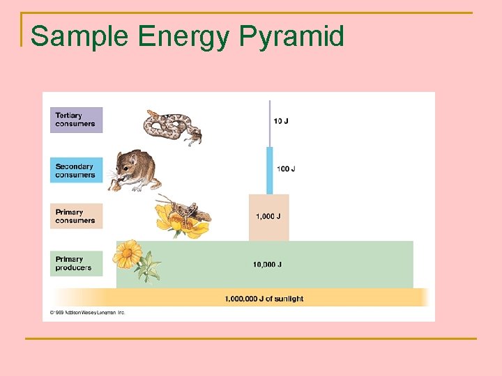 Sample Energy Pyramid 