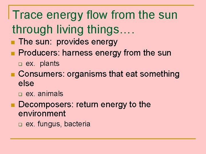 Trace energy flow from the sun through living things…. n n The sun: provides