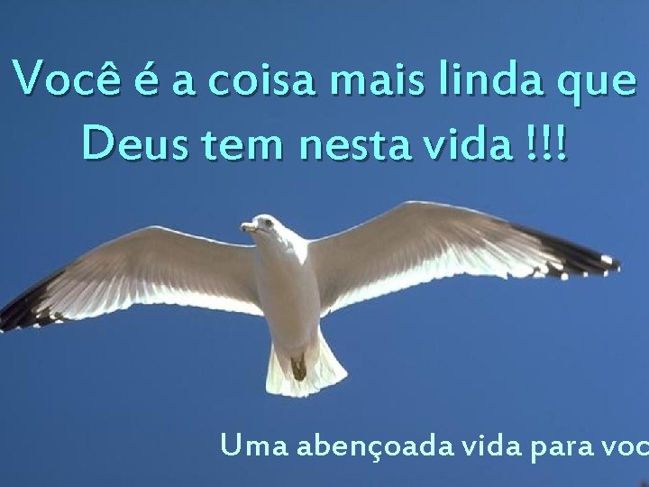 Você é a coisa mais linda que Deus tem nesta vida !!! Uma abençoada