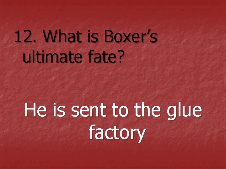 12. What is Boxer’s ultimate fate? He is sent to the glue factory 12. What is Boxer’s ultimate fate? He is sent to the glue factory