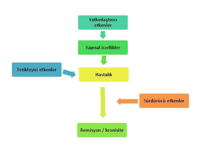 Yatkınlaştırıcı etkenler Yapısal özellikler Tetikleyici etkenler Hastalık Sürdürücü etkenler Remisyon / kronisite 