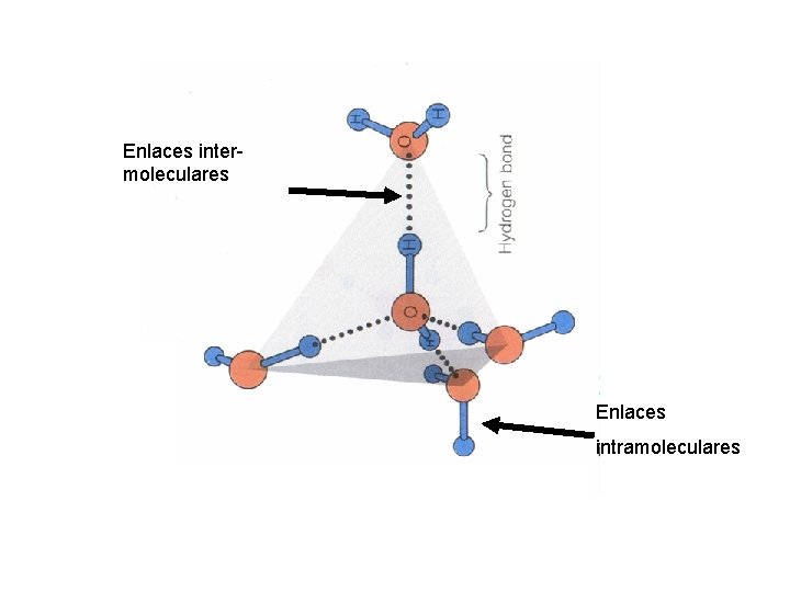 Enlaces intermoleculares Enlaces intramoleculares 