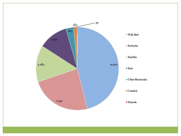 383 59 963 Wild Bird 3, 573 Rodentia Reptilia 4, 483 14, 429 Bats