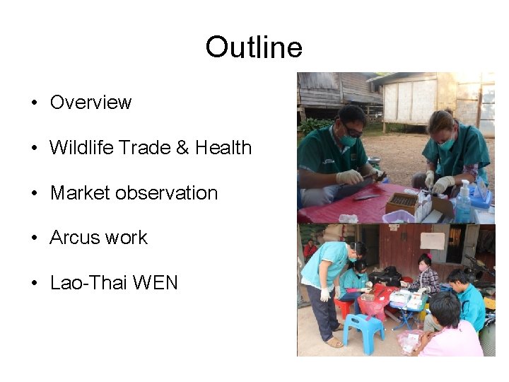 Outline • Overview • Wildlife Trade & Health • Market observation • Arcus work