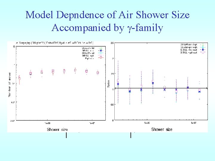 Model Depndence of Air Shower Size Accompanied by g-family 