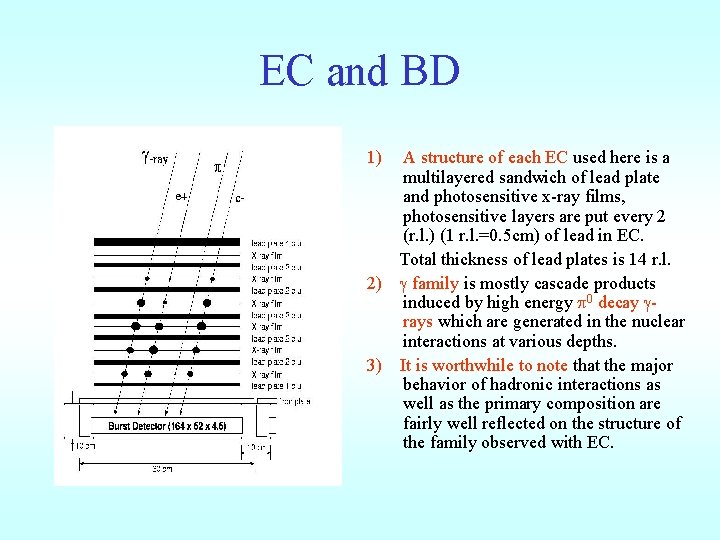 EC and BD 1) A structure of each EC used here is a multilayered