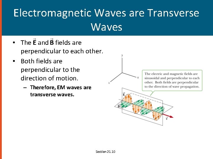Electromagnetic Waves are Transverse Waves • The and fields are perpendicular to each other.