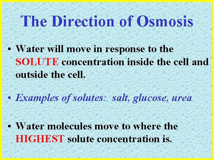 The Direction of Osmosis • Water will move in response to the SOLUTE concentration