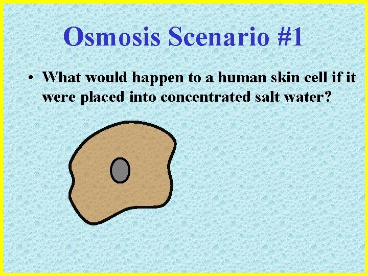 Osmosis Scenario #1 • What would happen to a human skin cell if it