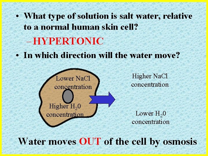  • What type of solution is salt water, relative to a normal human