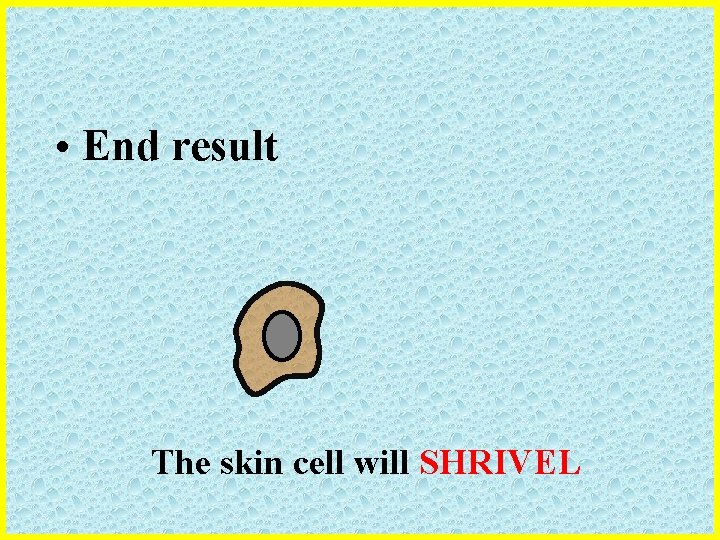  • End result The skin cell will SHRIVEL 