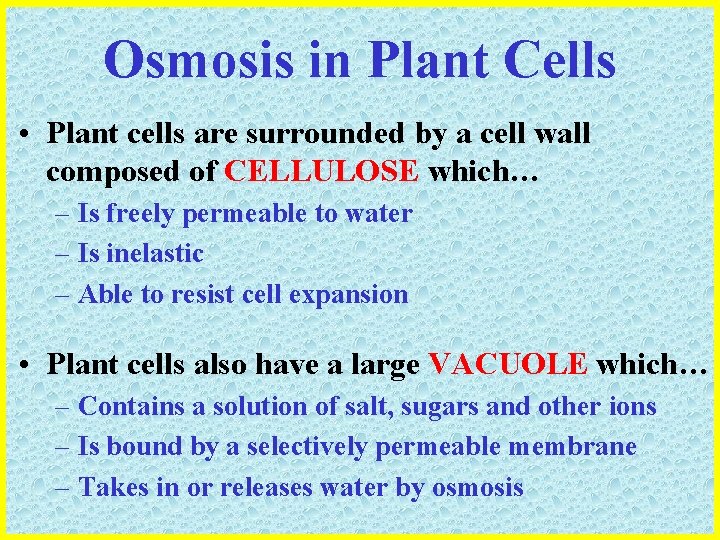 Osmosis in Plant Cells • Plant cells are surrounded by a cell wall composed