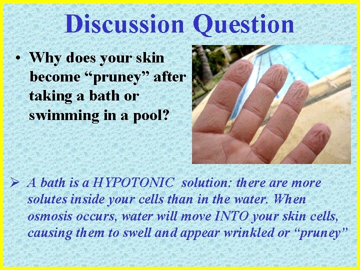Discussion Question • Why does your skin become “pruney” after taking a bath or
