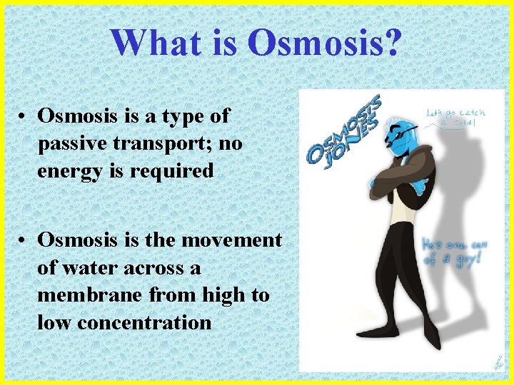 What is Osmosis? • Osmosis is a type of passive transport; no energy is