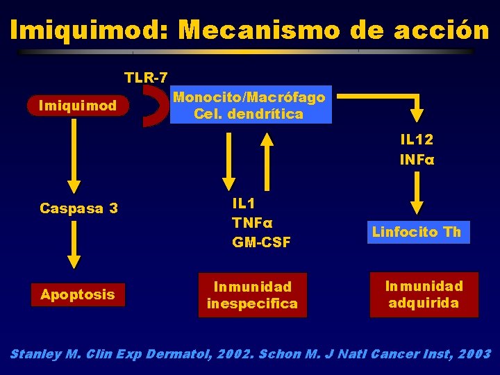Imiquimod: Mecanismo de acción TLR-7 Imiquimod Monocito/Macrófago Cel. dendrítica IL 12 INFα Caspasa 3