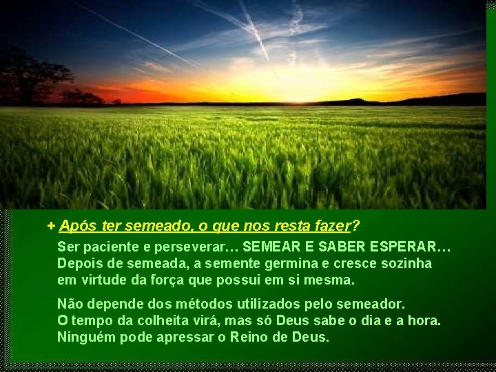 + Após ter semeado, o que nos resta fazer? Ser paciente e perseverar… SEMEAR