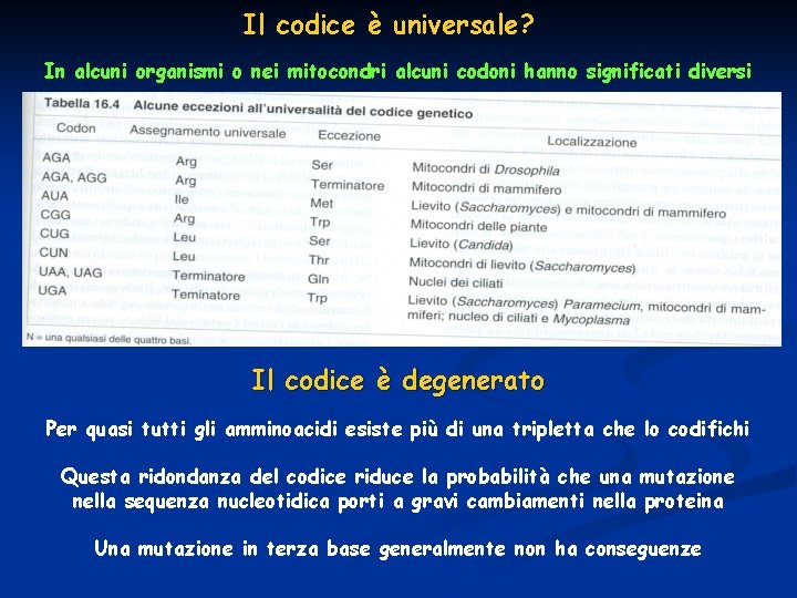 Il codice è universale? In alcuni organismi o nei mitocondri alcuni codoni hanno significati