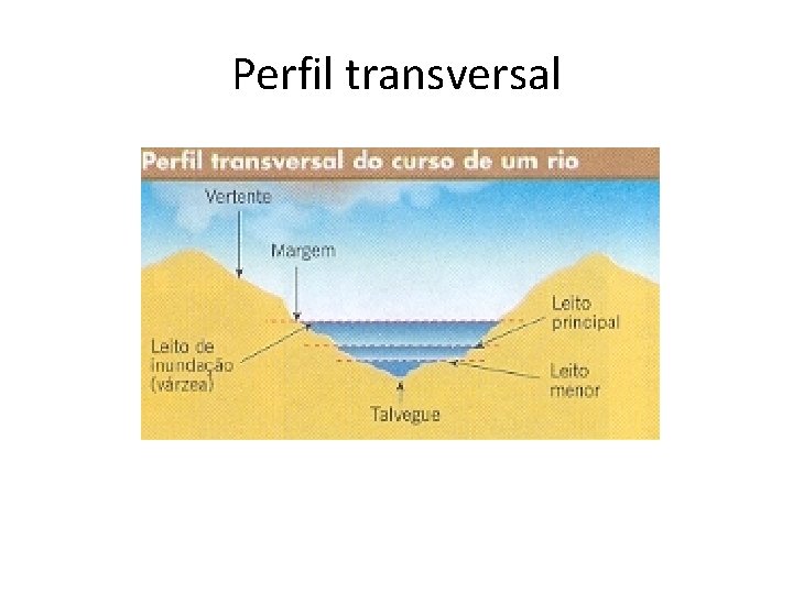 Perfil transversal 