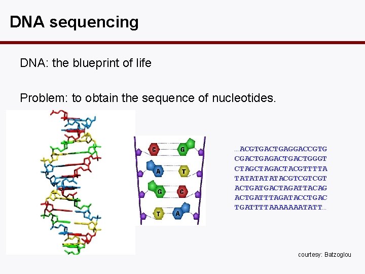 DNA sequencing DNA: the blueprint of life Problem: to obtain the sequence of nucleotides.