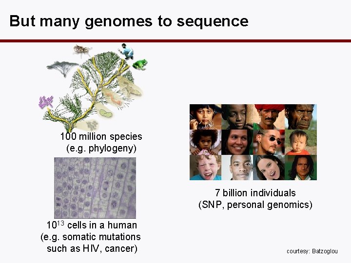 But many genomes to sequence 100 million species (e. g. phylogeny) 7 billion individuals