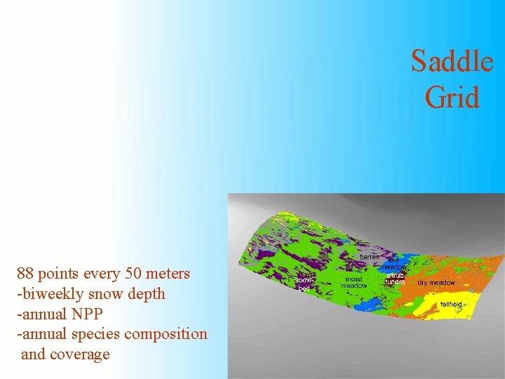 Saddle Grid 88 points every 50 meters -biweekly snow depth -annual NPP -annual species