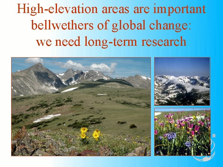 High-elevation areas are important bellwethers of global change: we need long-term research 