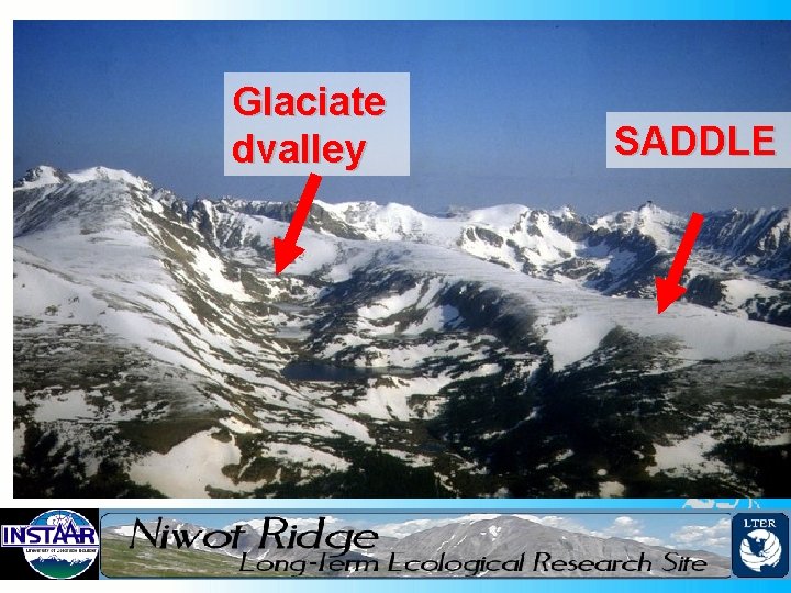 Glaciate dvalley SADDLE 