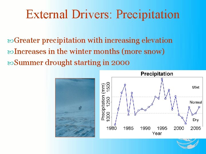 External Drivers: Precipitation Greater precipitation with increasing elevation Increases in the winter months (more