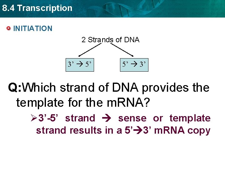 8. 4 Transcription INITIATION 2 Strands of DNA 3’ 5’ 5’ 3’ Q: Which