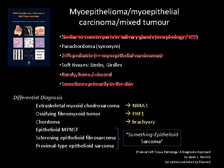 Myoepithelioma/myoepithelial carcinoma/mixed tumour • Similar to counterparts in salivary glands (morphology / ICC) • Myoepithelioma/myoepithelial carcinoma/mixed tumour • Similar to counterparts in salivary glands (morphology / ICC) •