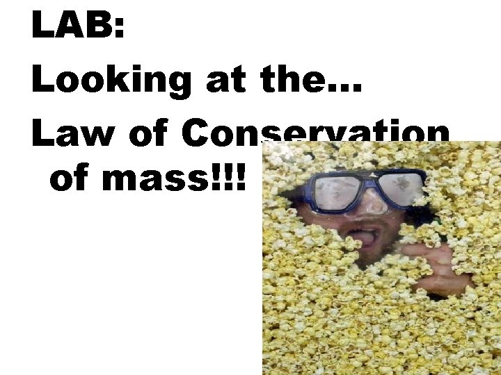 LAB: Looking at the… Law of Conservation of mass!!! 