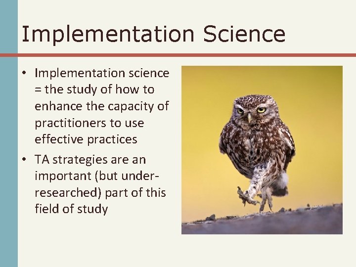 Science Study Implementation Strategies for ChildFocused TA Provided by State DeafBlind