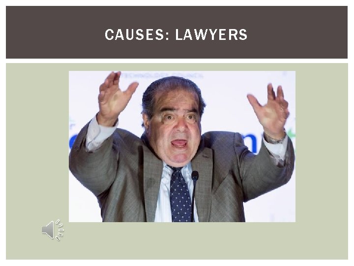 CAUSES: LAWYERS 