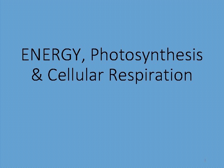 ENERGY, Photosynthesis & Cellular Respiration 1 