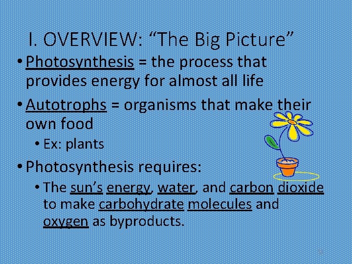 I. OVERVIEW: “The Big Picture” • Photosynthesis = the process that provides energy for