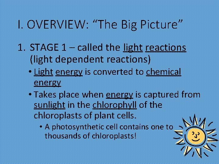 I. OVERVIEW: “The Big Picture” 1. STAGE 1 – called the light reactions (light