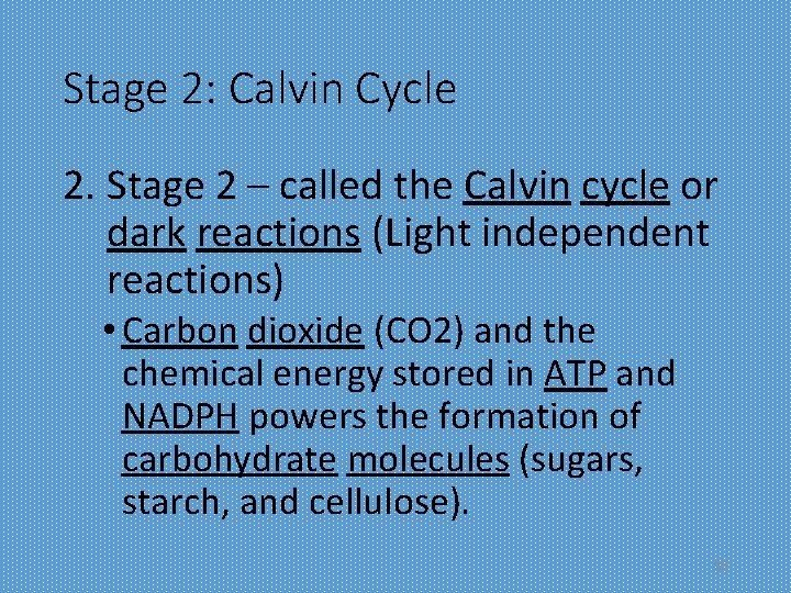 Stage 2: Calvin Cycle 2. Stage 2 – called the Calvin cycle or dark